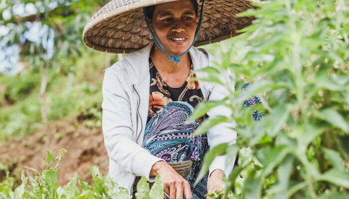A female farmer with a straw hat works in the fields.