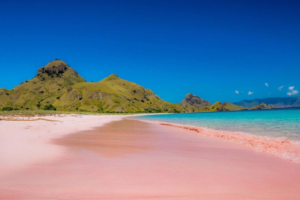 Sandy Komodo island's pink beach with clear waters and surrounded by hills.