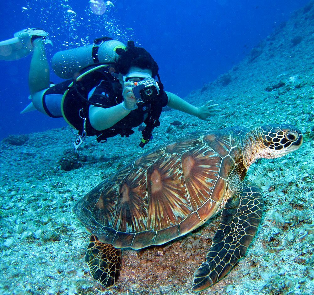 Women in the diving tank taking a picture of a sea turtle in Luxury Cruise Activities.