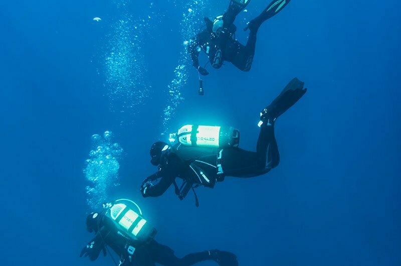 Three divers with the diving tank are exploring the ocean.